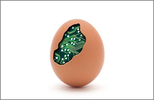 (Jajko komputerowe z płytką drukowaną wyświetlane przez producenta PCB online)